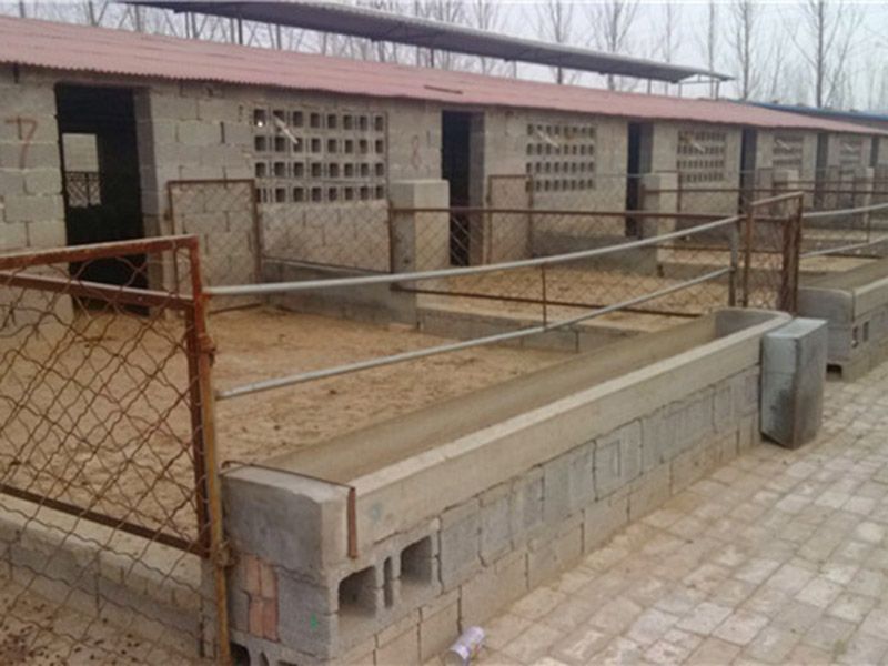 羊舍建設