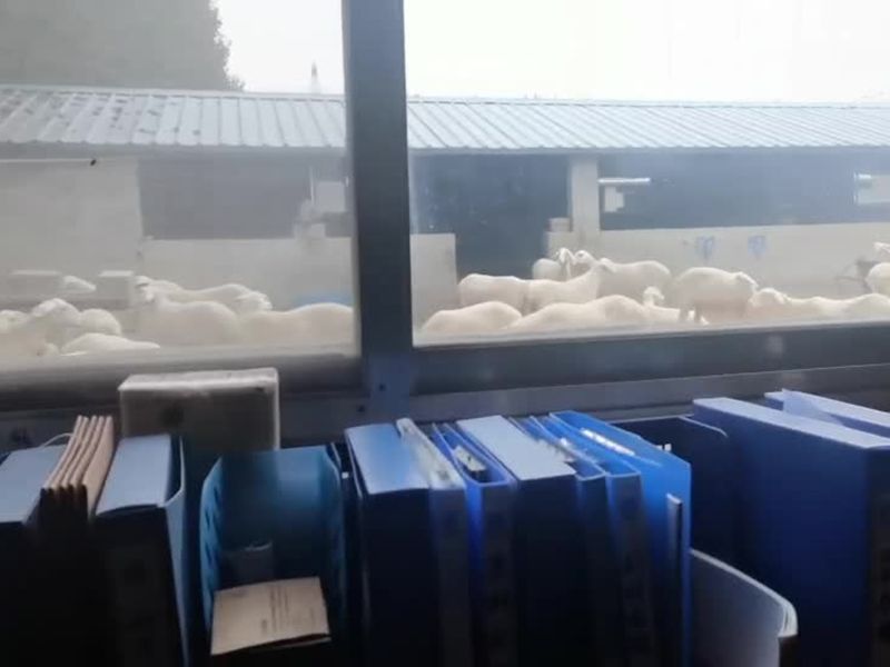 養殖實景（視頻）